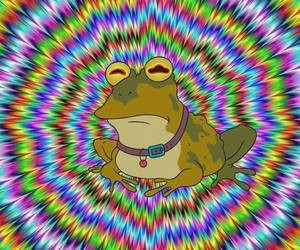 hypnofrog