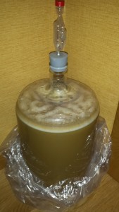 Fermenting 1