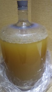 Fermenting 3